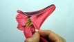 Cómo dibujar una flor con lápices de colores paso a paso, dibujando un Copihue Realista