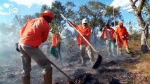 Fighting fires in Brazil | Global Ideas