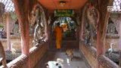 Temple decorated with animal skeleton