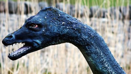5 Loch Ness Monster Sightings Caught on Tape