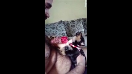 Petite leçon de hurlement pour ce chiot trop mignon