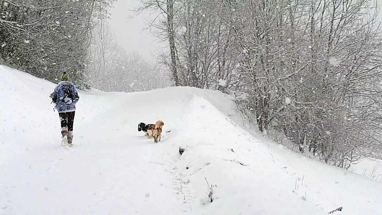 en balade dans la neige (6)