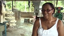 Ghana - Prosperity through cassava | Global 3000