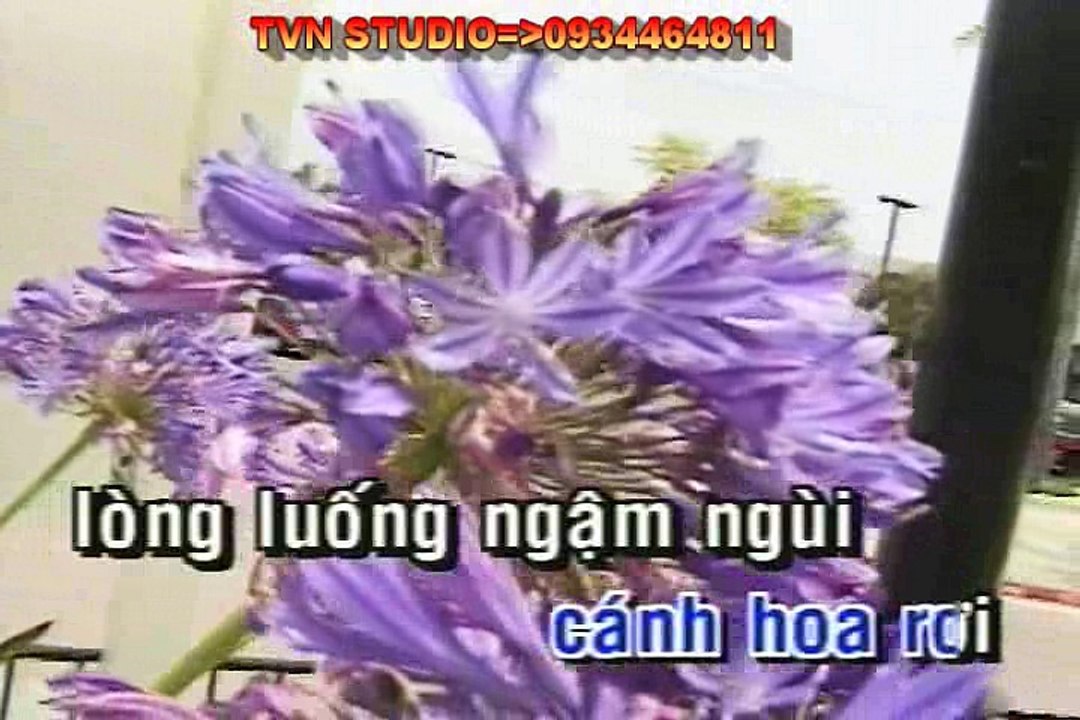 Karaoke 1 lan gap em - Tuan Vu