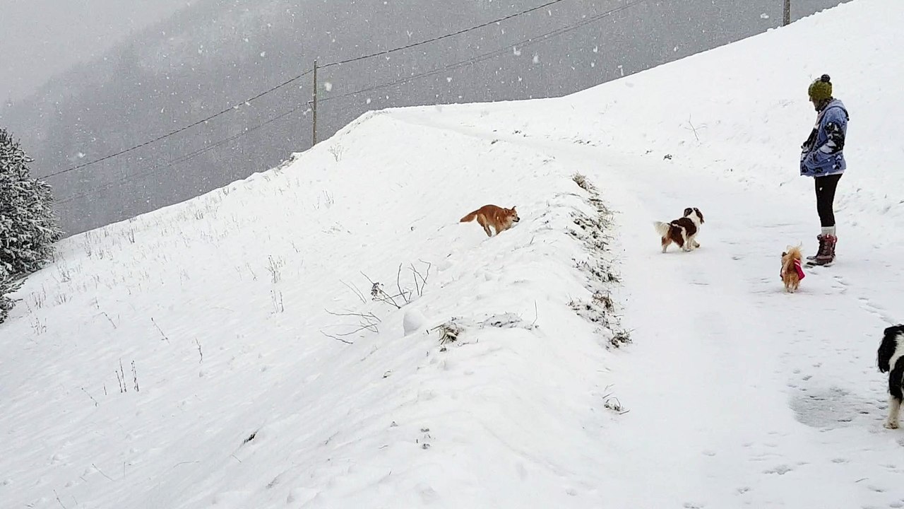 en balade dans la neige (1)