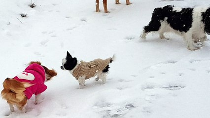 en balade dans la neige (2)