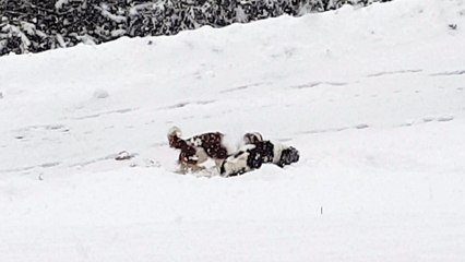 en balade dans la neige (3)