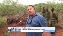 Saving Kenya's forests | Global Ideas
