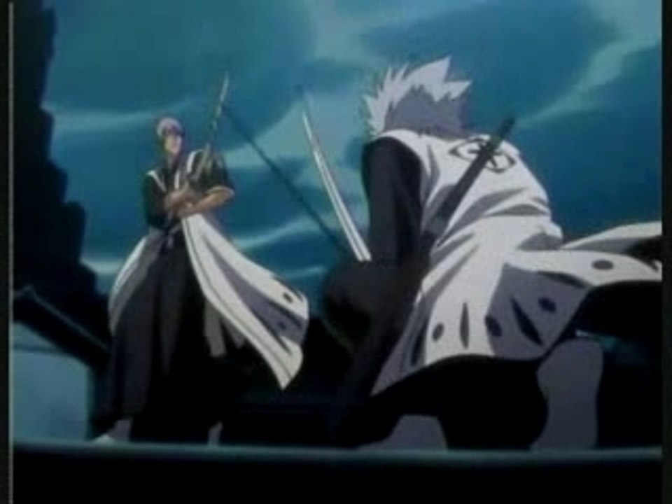 Hitsugaya vs gin