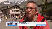 Eco tourism in Switzerland | Global Ideas