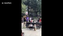 Watch this adorable toddler jam with a New Orleans brass band