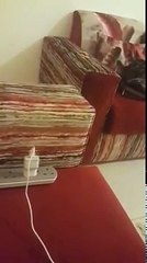 DEG DEG Maama Malyuun Ku Dhawaaqday in eey Gaaloobi Rabyo UBAX oo Oyin is Celi la