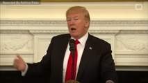 Trump’s Steel And Aluminum Tariffs Upend NAFTA Talks