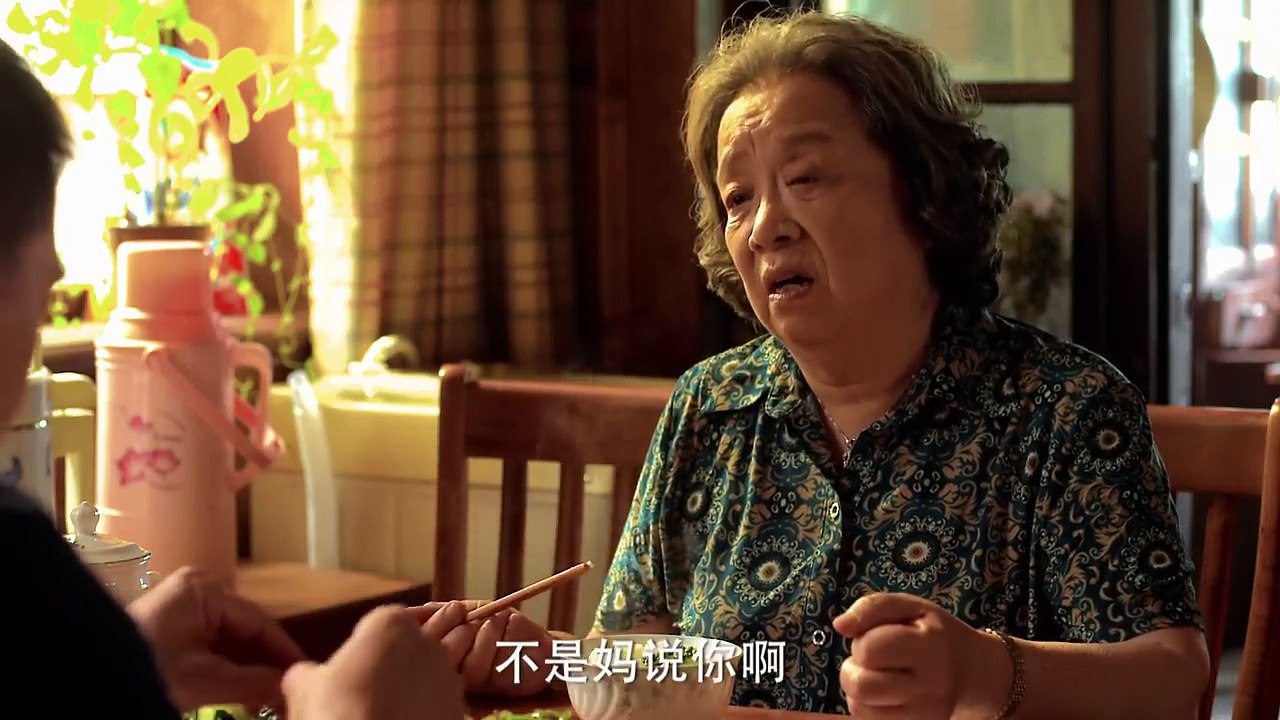 都市剧《爱情最美丽》32主演 张国立 蒋雯丽 马思纯 刘立