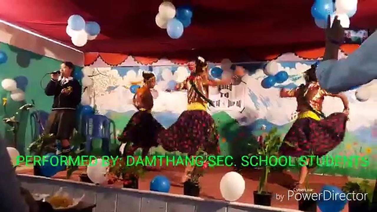 Siraima Sirbandi Nepali Dance By_ D.S.S. STUDENTS ( 360 X 640 )