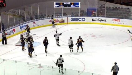 ECHL Jacksonville Icemen 2 at Norfolk Admirals 1