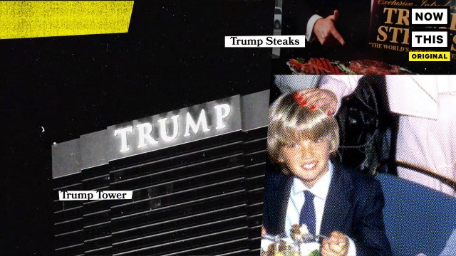 Who is Donald Trump Jr.? Narrated by Alyssa Milano