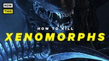 How to Kill Xenomorphs