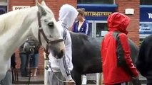 Ireland: Abandoned Horses on the Emerald Isle | European Journal