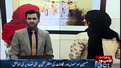 Exhibition of Alhamra Art gallery in lahore