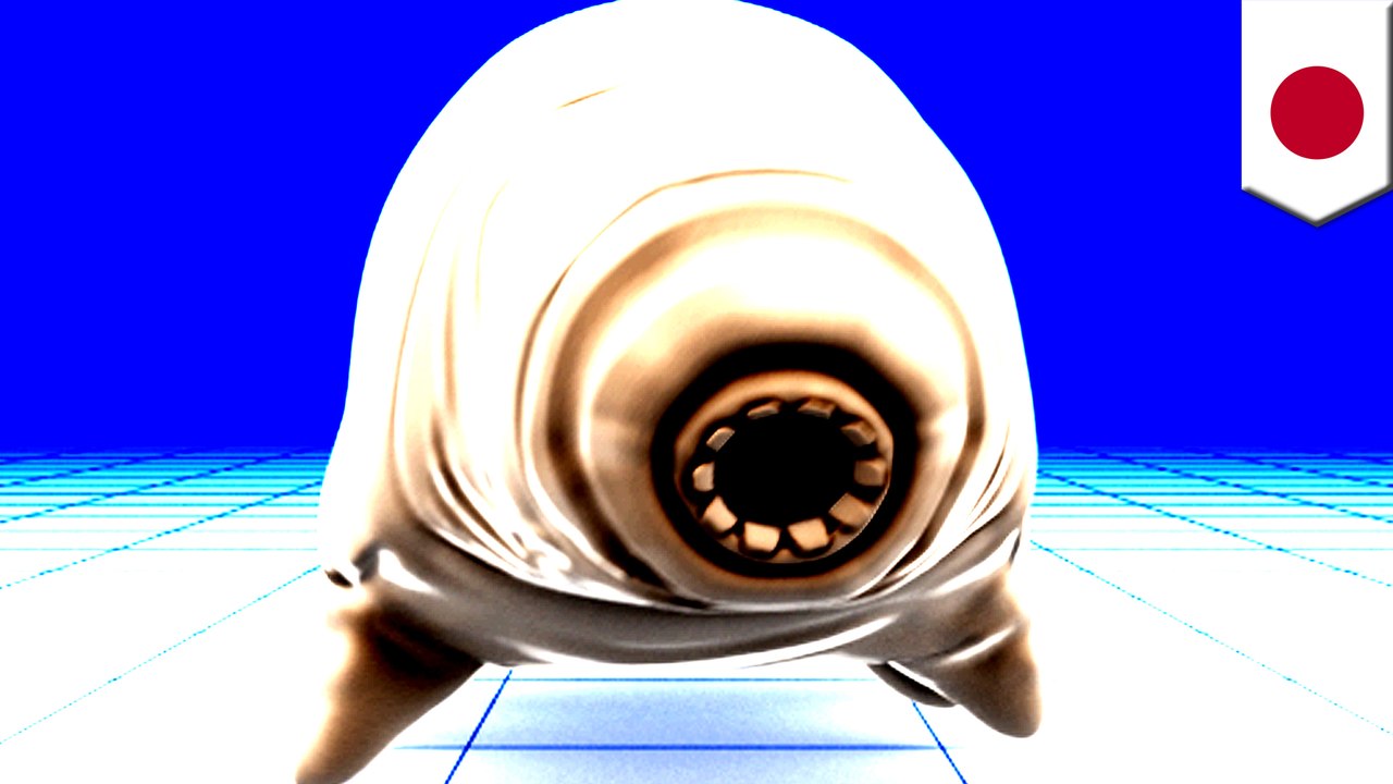 Scientists discover new species of TARDIGRADE in Japan parking lot