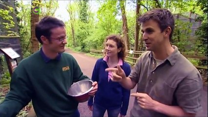 CBBC Roar Series 2007