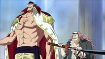 Squard Stabs Whitebeard English Dubbed