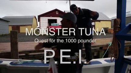 MONSTER TUNA - 1000 pound Giant Bluefin caught in record time in PEI - Cool Underwater Shots