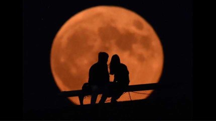 "Le secret des couples qui durent ? L'égoïsme partagé !"