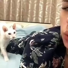 Cat slaps girl while taking selfie