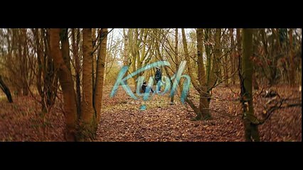 Q.E Favelas feat. Koba LaD - Guerilla