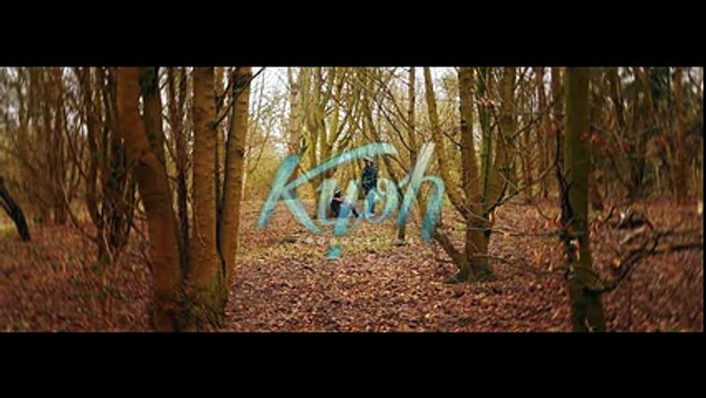 Q.E Favelas feat. Koba LaD - Guerilla