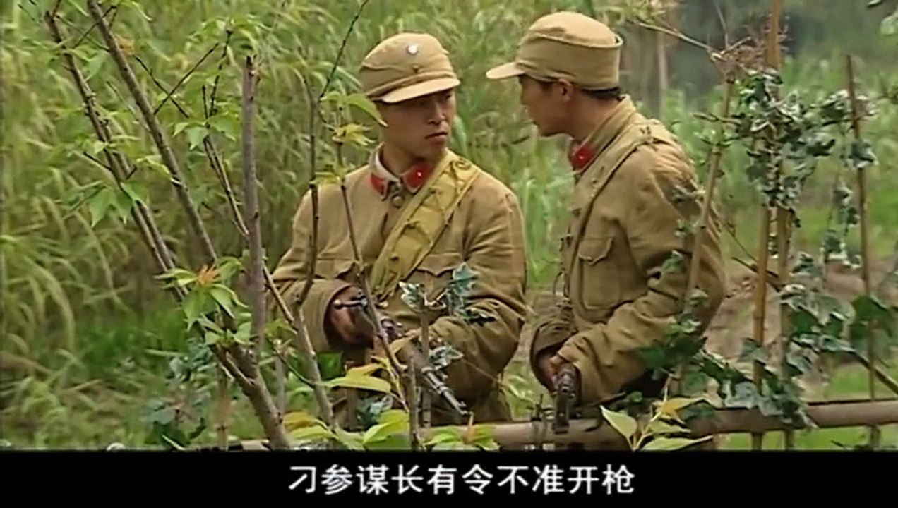 年代剧《沙家浜》25主演 陈道明 许晴 任程伟 程前