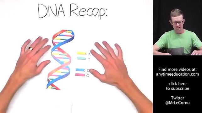 DNA, Chromosomes and Genes