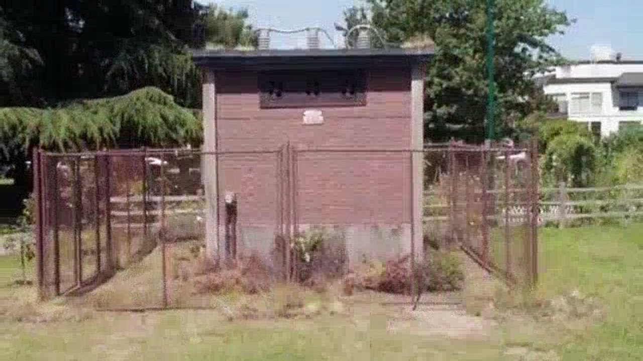 Dirk Gentlys Holistic Detective Agency S01E04 - Watkin