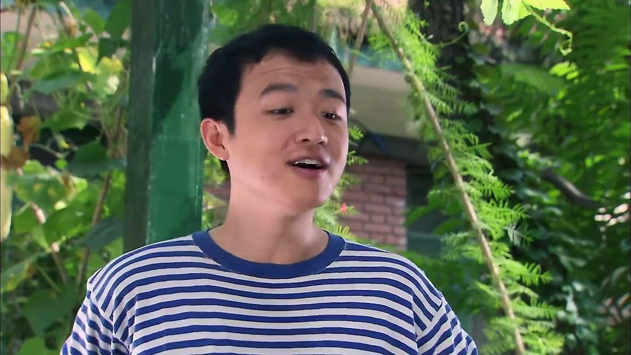 爱情剧《橄榄树》06主演 刘涛 陈思诚 洛葳 包贝尔 王诗槐