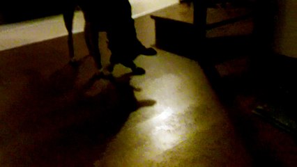 Stella Feb2018 after operation sterilization playing with duck toy