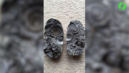 Il casse une pierre en 2 et regardez ce qu'il trouve dedans... Incroyable