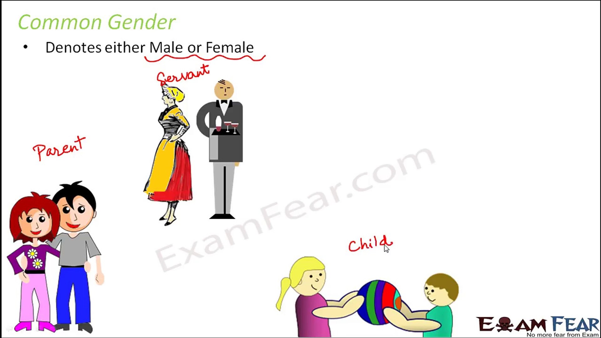 English Grammar Gender (English) Part 2: Common Gender