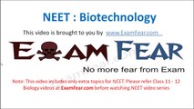 NEET Biology Biotechnology : Multiple Choice Previous Years Questions MCQs 2