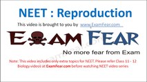 NEET Biology Reproduction : Multiple Choice Previous Years Questions MCQs 1