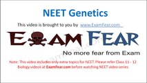 NEET Biology Genetics : Multiple Choice Previous Years Questions MCQs 1