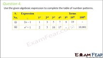 Maths Algebraic Expressions part 13 (Numericals) CBSE Class 7  Mathematics VII