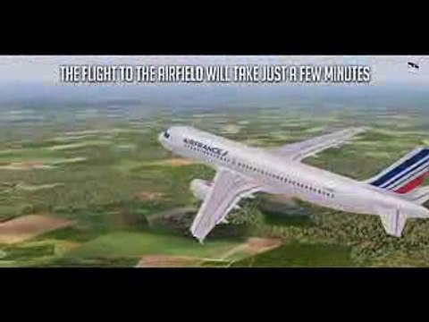 Pilot VS Plane Airbus A320 Crash During an Airshow Air France Flight 296