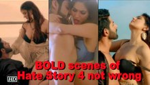 BOLD scenes of Hate Story 4 is not wrong: Vishal Pandya