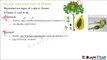 Biology Reproduction in Plants Part 11 (Sexual Reproduction in Plants) Class 7 VII