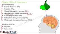 Biology Adolescence Part 13 (Pituitary Gland & hormones) Class 8  VIII