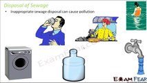 Biology Environmental Issues part 8 (Water Pollution Sewage Treatment) class 12 XII