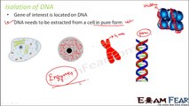 Biology Biotechnology Principles part 17 (Isolation of DNA, Cutting of DNA) class 12 XII