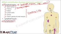 Biology Human Health & Diseases part 18 (Human immune system) class 12 XII